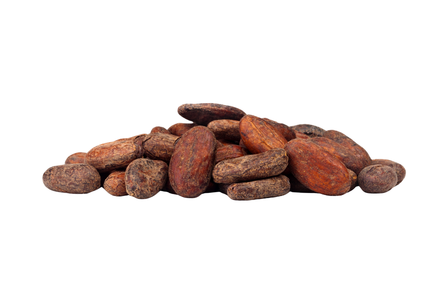 Cacao Beans Raw