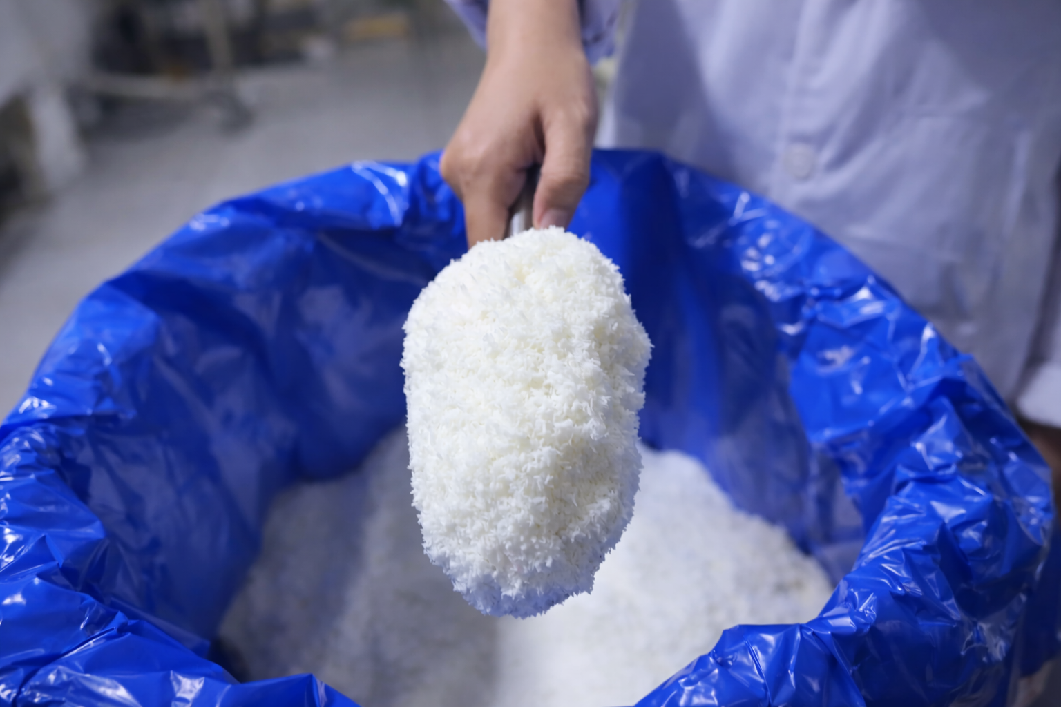 Fine Grade Desiccated Coconut