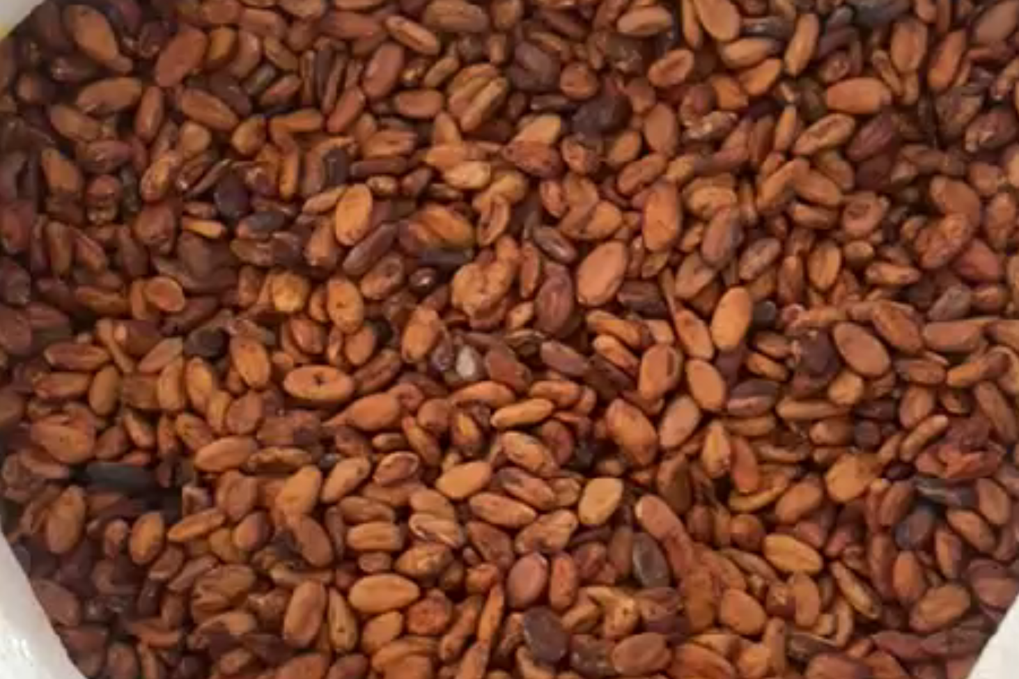 Website Content Pictures (4)