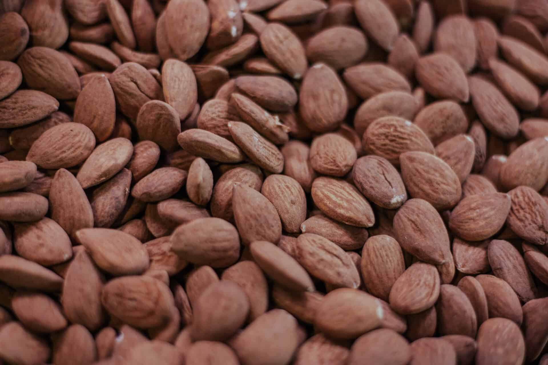Cocoa beans