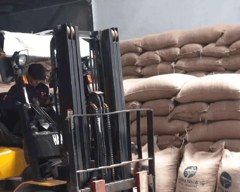 Excavator Savanna for Peanuts Imports