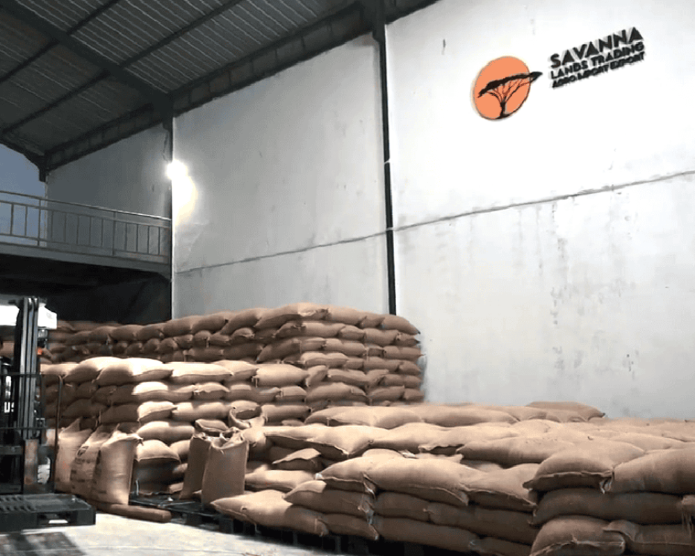 Savanna Warehouse for Peanut Import